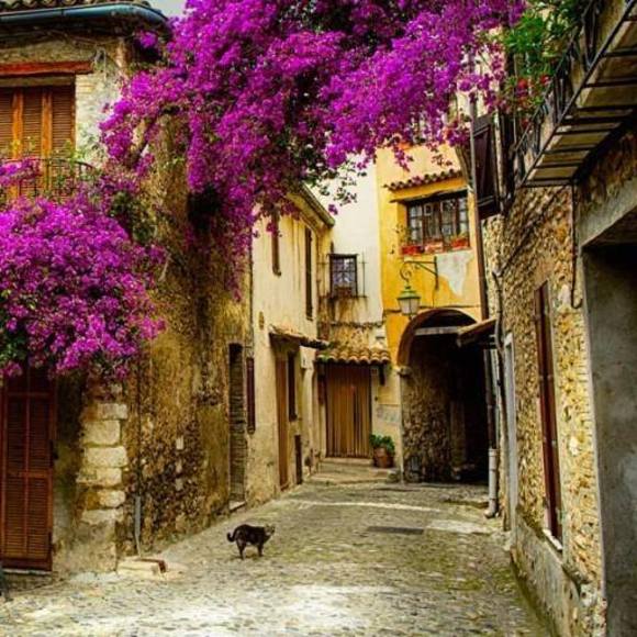 Meet your Posher, Mary - Picture 1 of 1